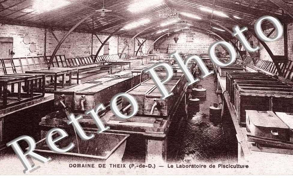 DOMAINE DE THEIX    -   Laboratoire de pisciculture