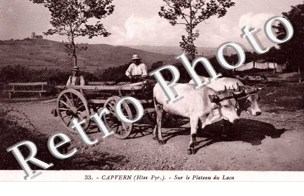 SUR LE PLATEAU DU LACA