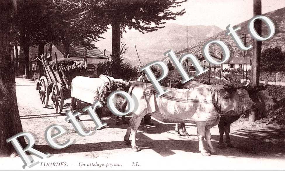 ATTELAGE  DU PAYS