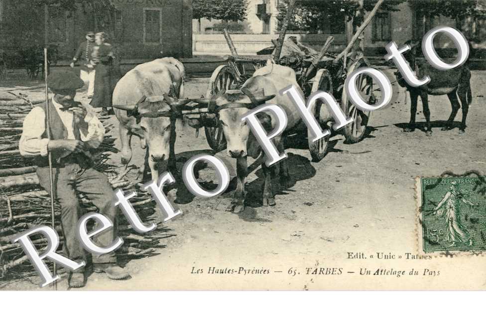 Un Attelage du Pays