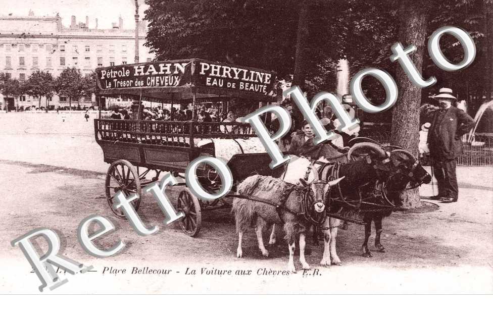 PLACE BELLECOUR  La voiture aux chevres
