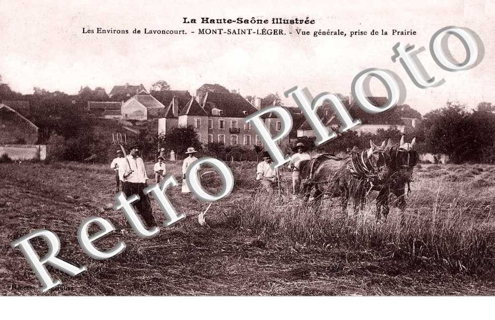 Vue generale   - agriculture