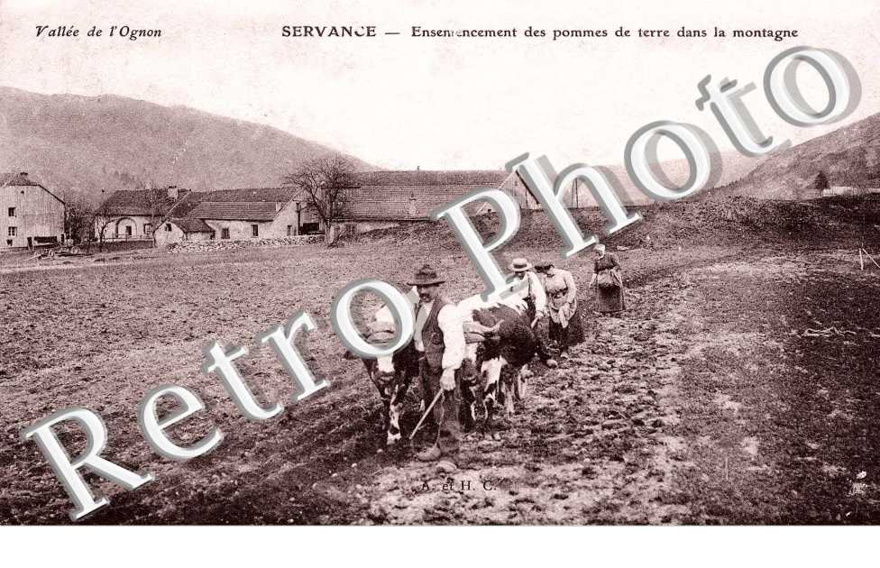 Plantation des pommes de terres dans la montagne