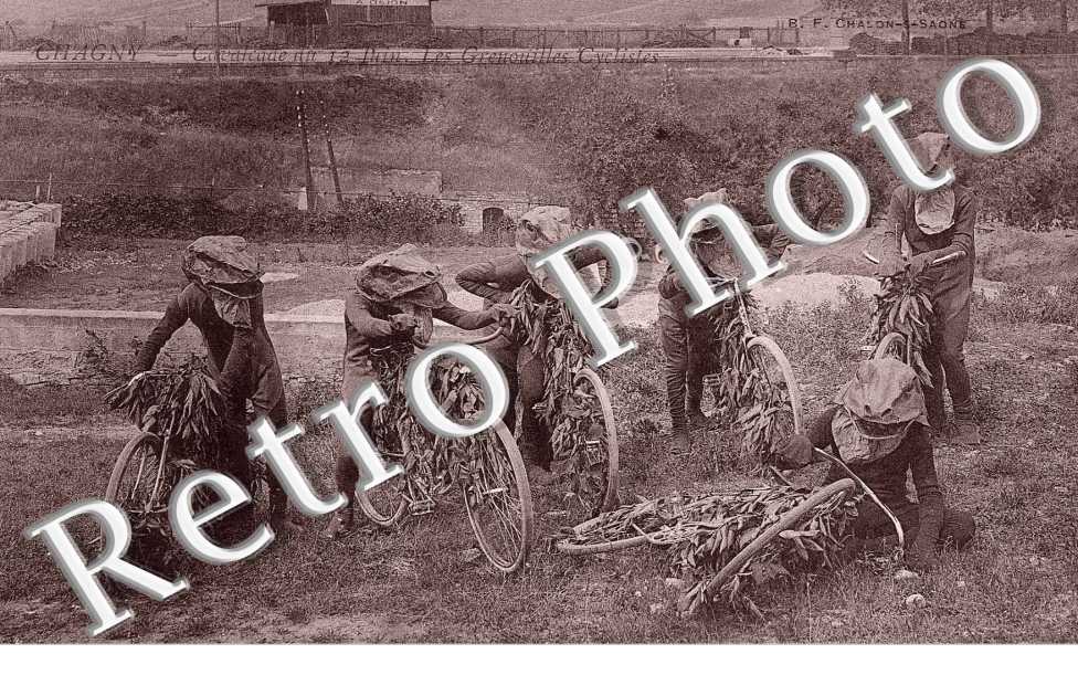 Cavalcade du 12 juin - les grenouilles cyclistes