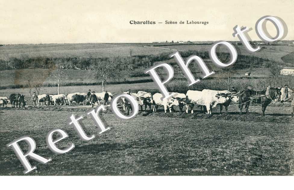 Scene de Labourage