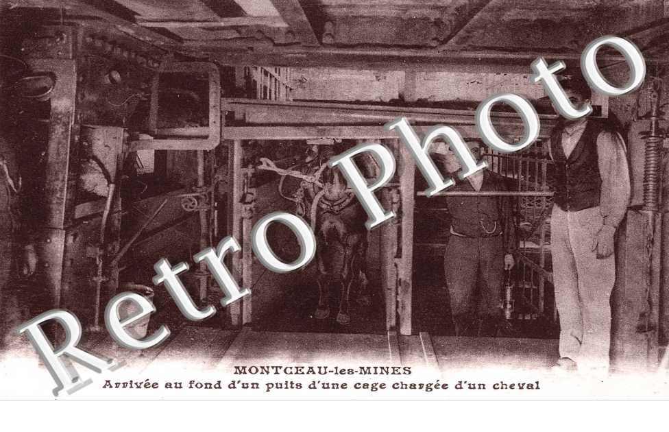 ARRIVEE AU FON D'U PUITS D'UNE CAGE