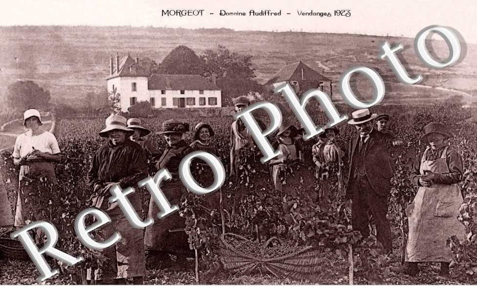 Domaine Audiffred  Vendanges 1923