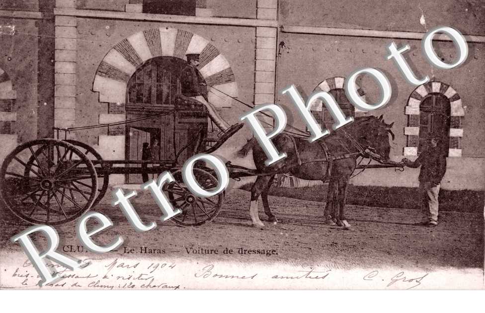 Le Haras - Voiture de Dressage