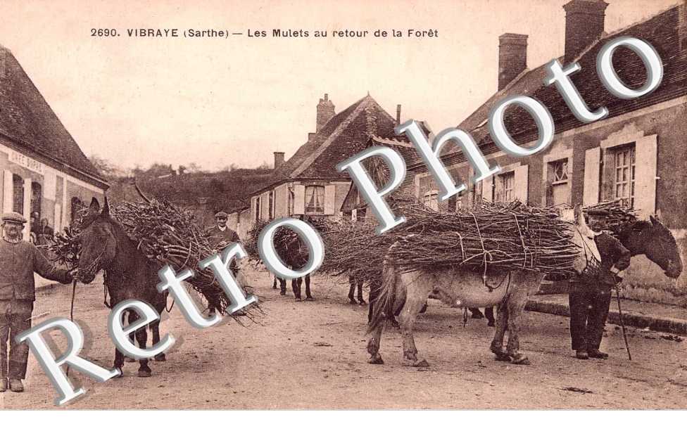 Les mulets au retour de la foret