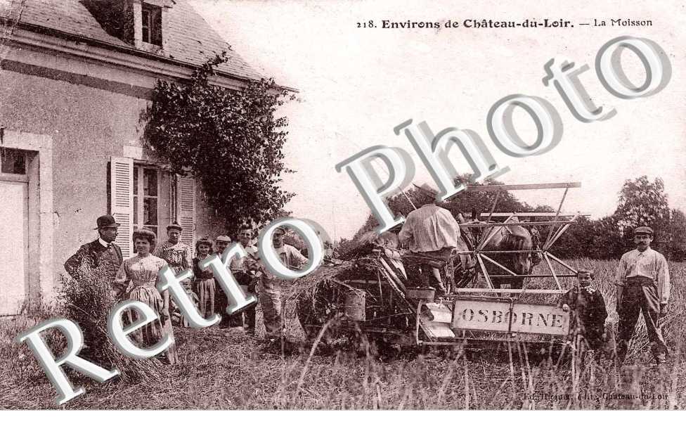 Moisson - agriculture