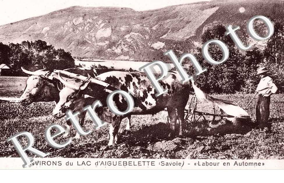 Labour en Automne