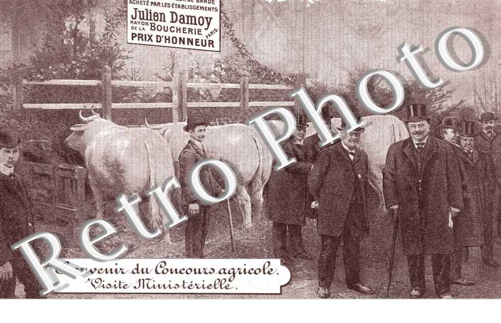 SOUVENIR DU CONCOURS AGRICOLE 