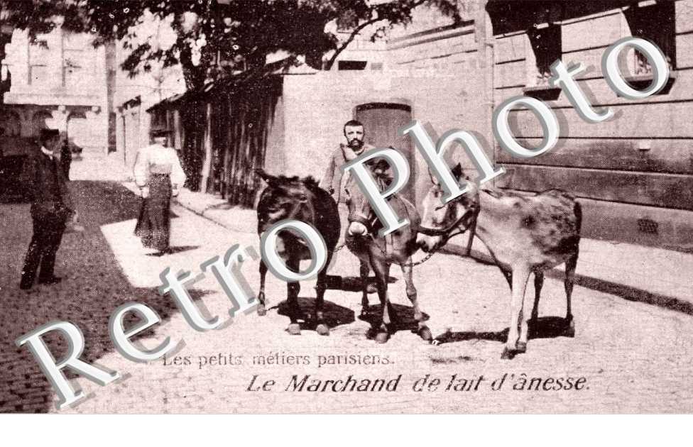 le marchand de lait d'anesse