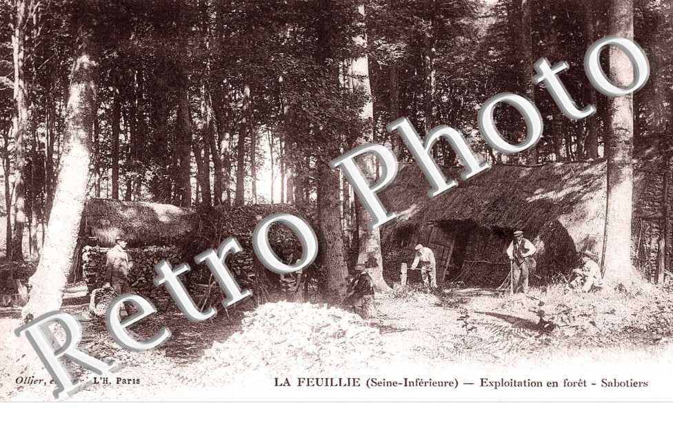 Exploitation en foret - Sabotiers