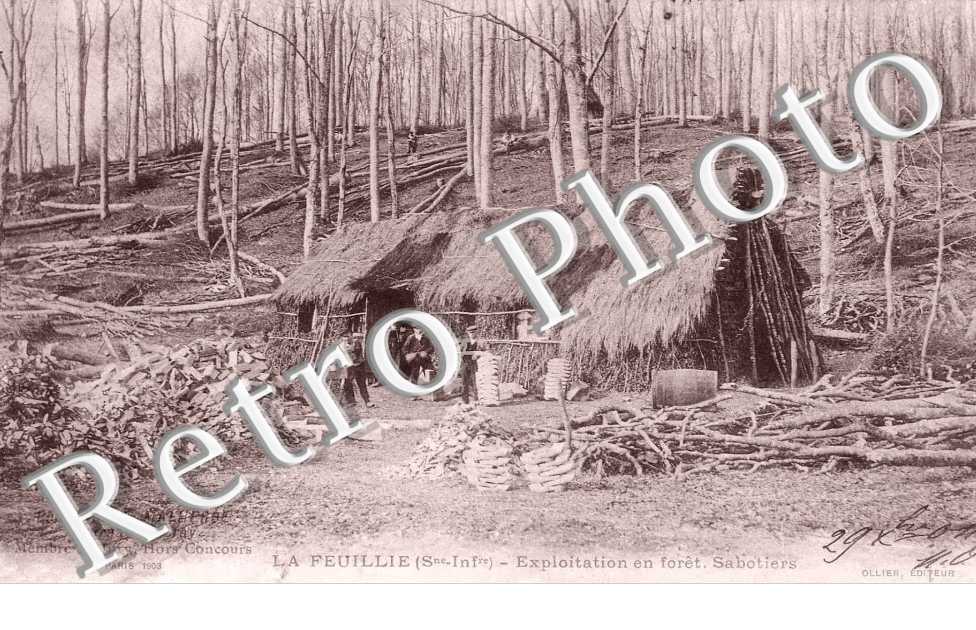 Exploitation en foret - Sabotiers