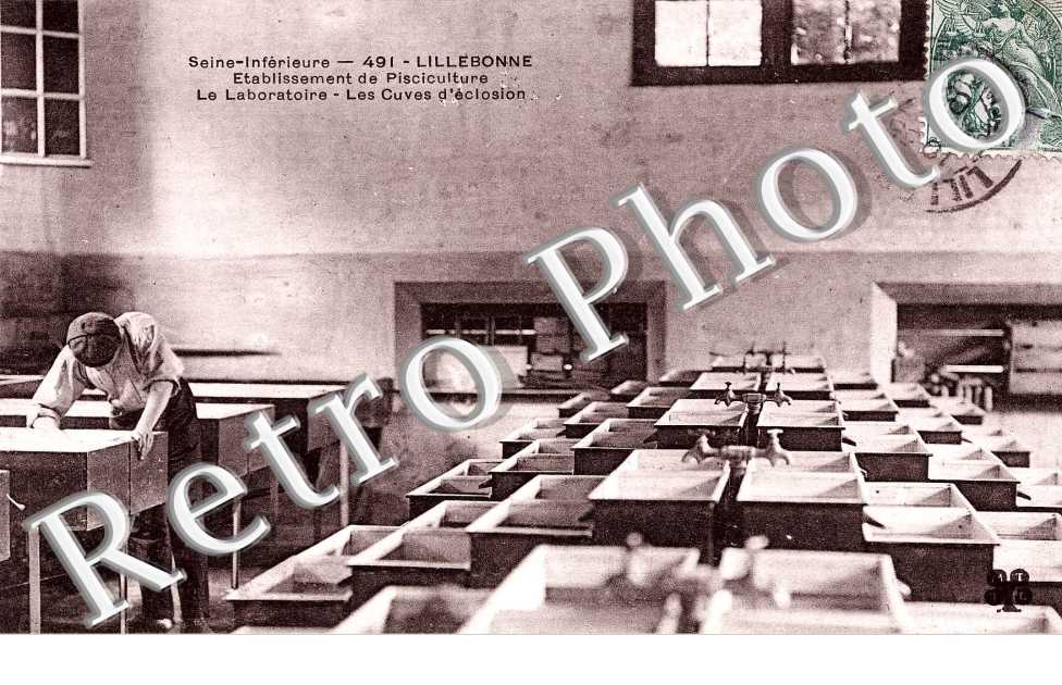 Etablissement de pisciculture - laboratoire - les cuves d'eclosion