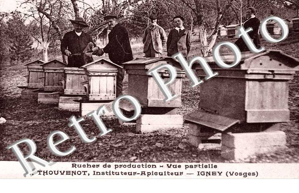 Rucher de production - A. Thouvenon instituteur-apiculteur