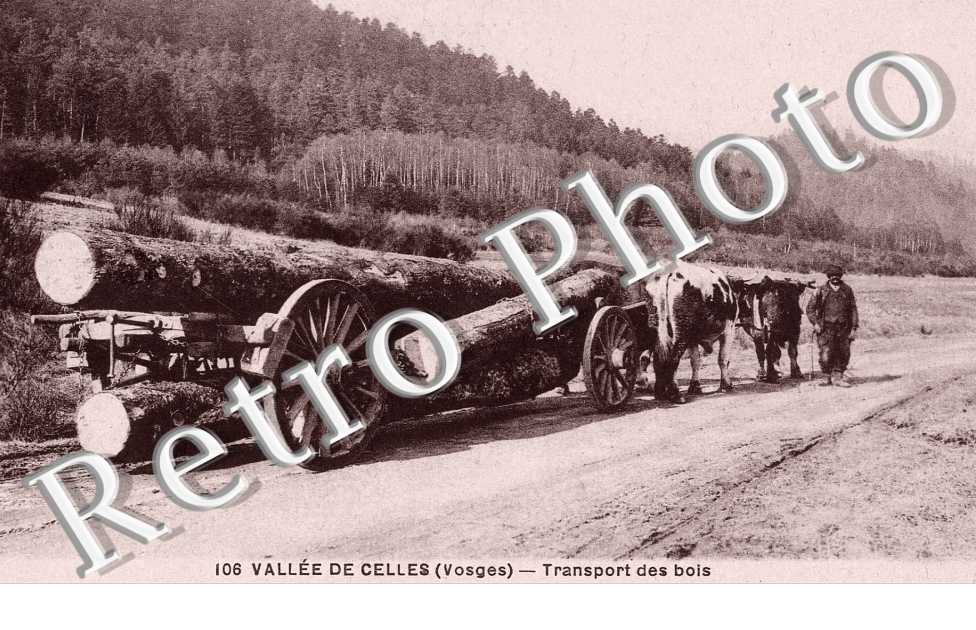 Transport des bois