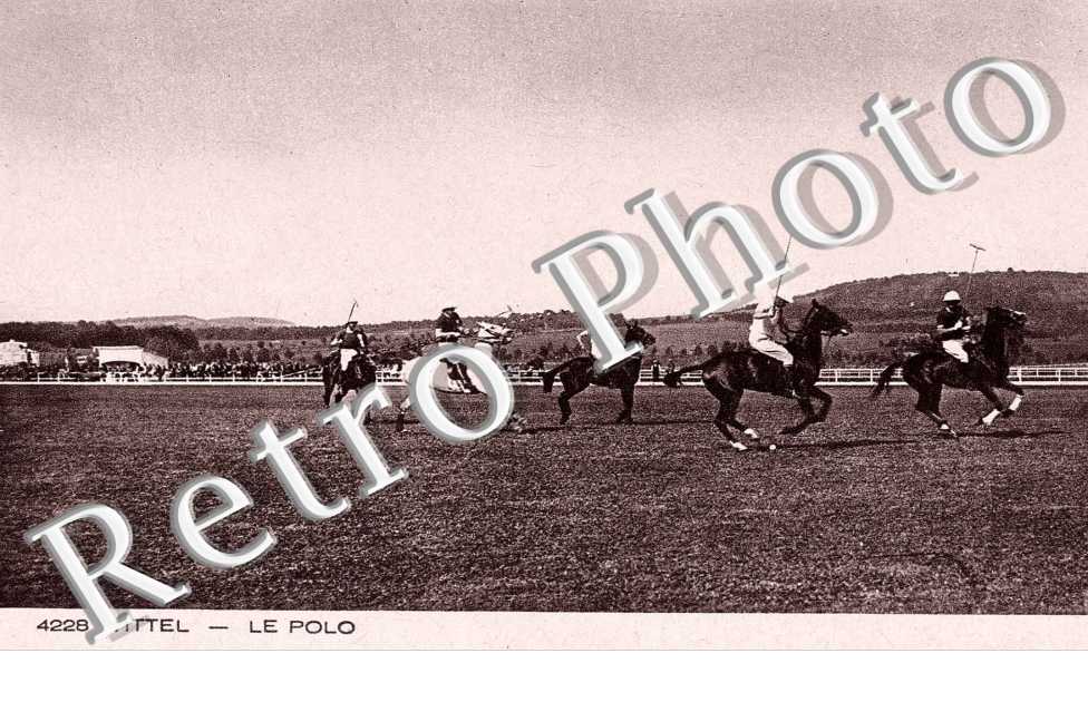 LE POLO