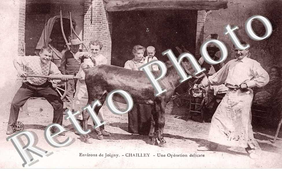 environs de Joigny, une operation delicate