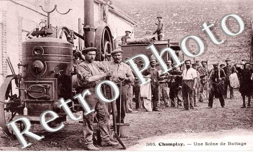 Une scene de battage - agriculture