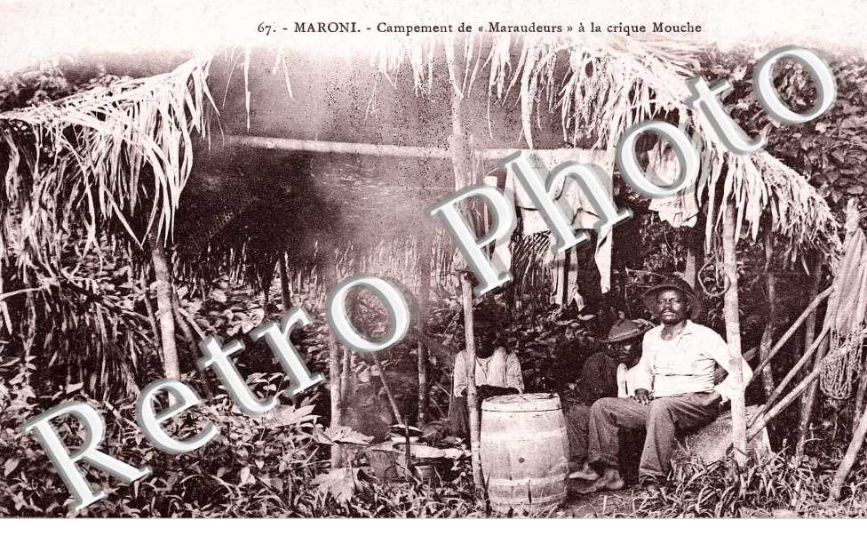 CAMPEMENT DE MARAUDEURS a la crique Mouche