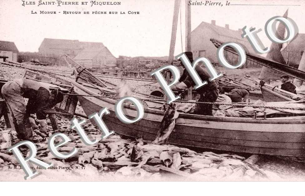 La Morue, Retour de Peche sur la Cote