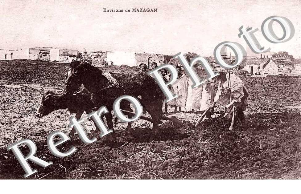 Agriculture - charrue