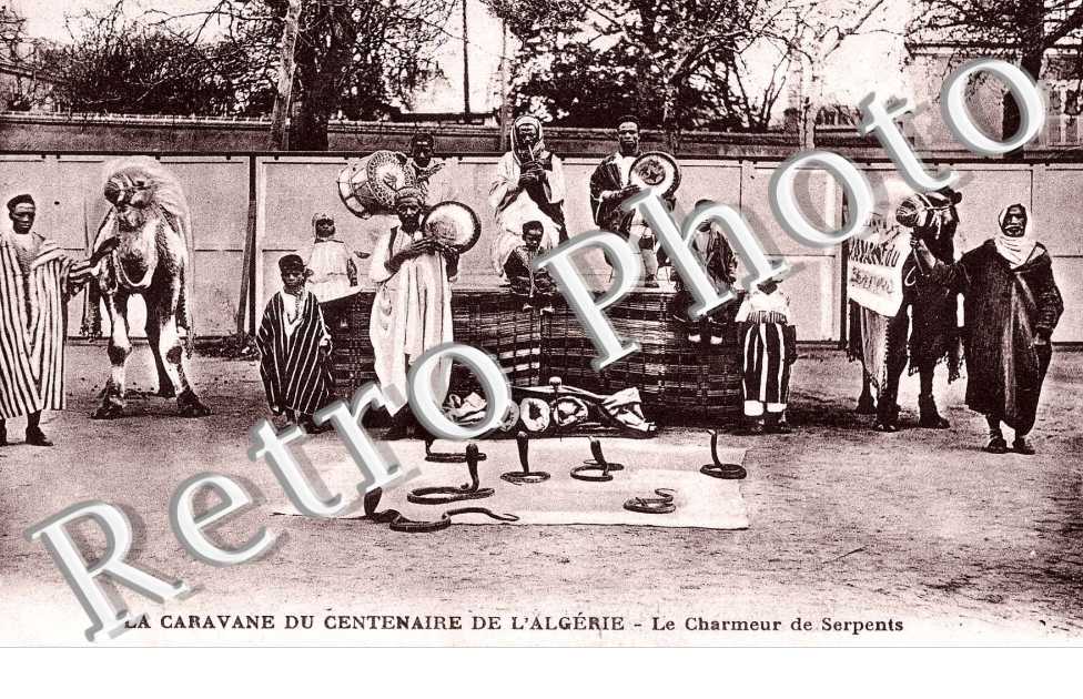 Le Charmeur de Serpents