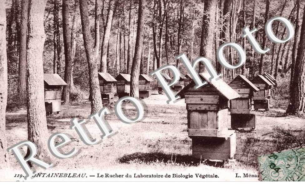 Le rucher du laboratoire de biologie vegetale