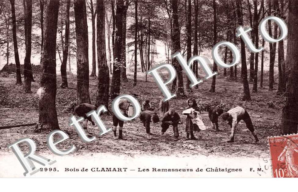 LES RAMASSEURS DE CHATAIGNES