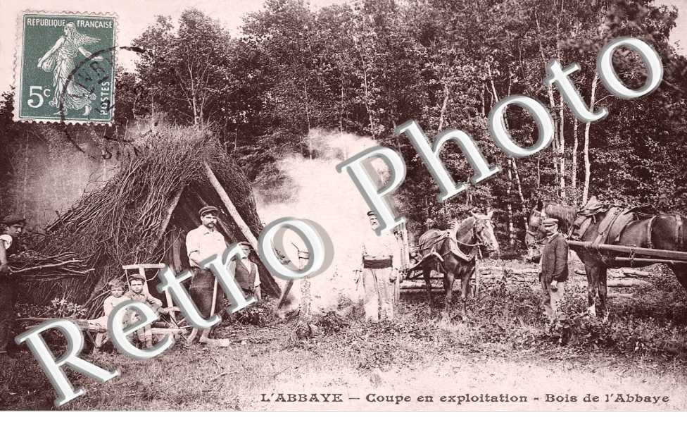 L'Abbaye - Coupe en exploitation - Bois de l'abbaye