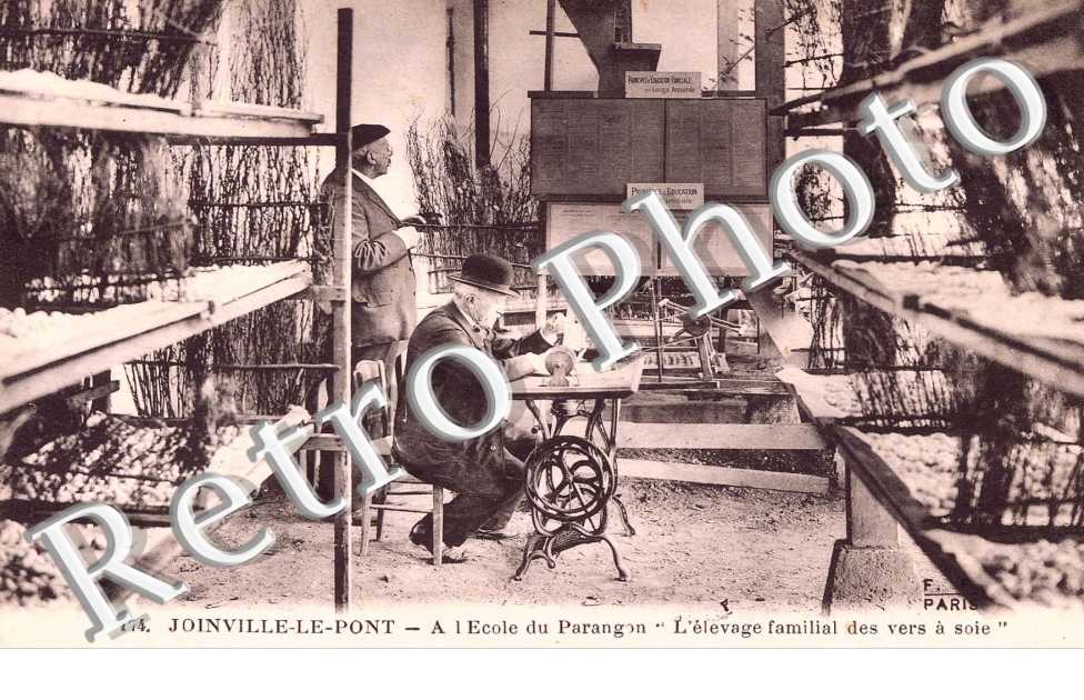 ecole du Parangon - elevage familal des  vers a soie