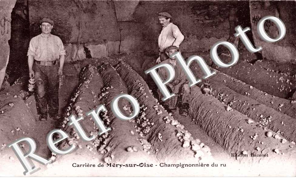 Carriere - Champignoniere du ru