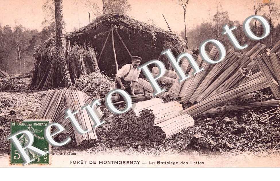 La foret - Le bottelage des lattes