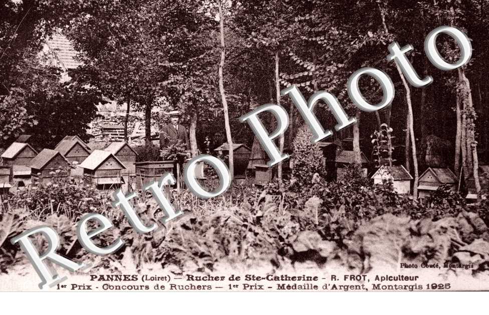 Rucher de Sainte Catherine - R. Frot apiculteur concours de Ruchers