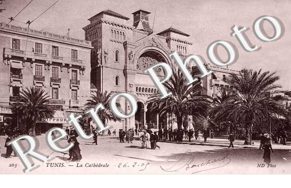 La cathedrale