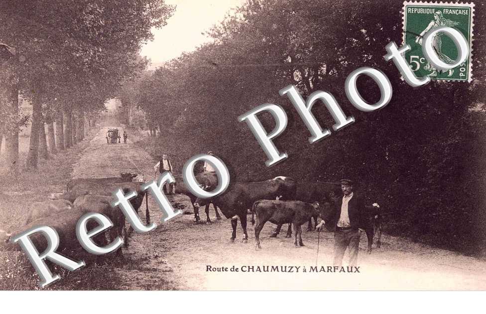 Route de Chaumuzy a Marfaux