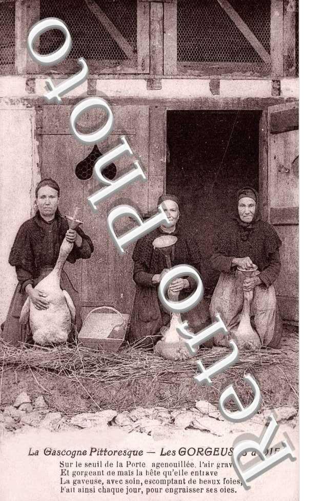 Les Gorgeuses d'Oies