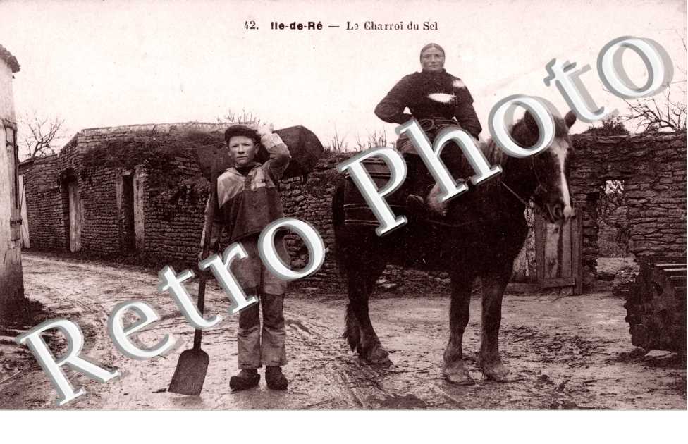 le charroi du sel