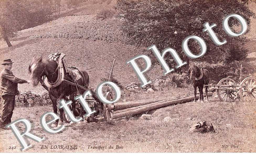 Transport du bois
