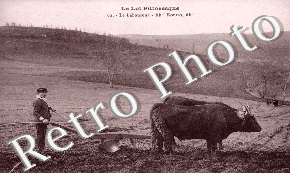 le laboureur