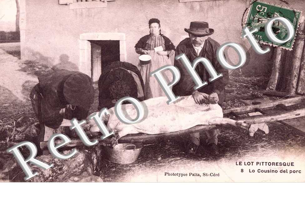 lo cousino del porc