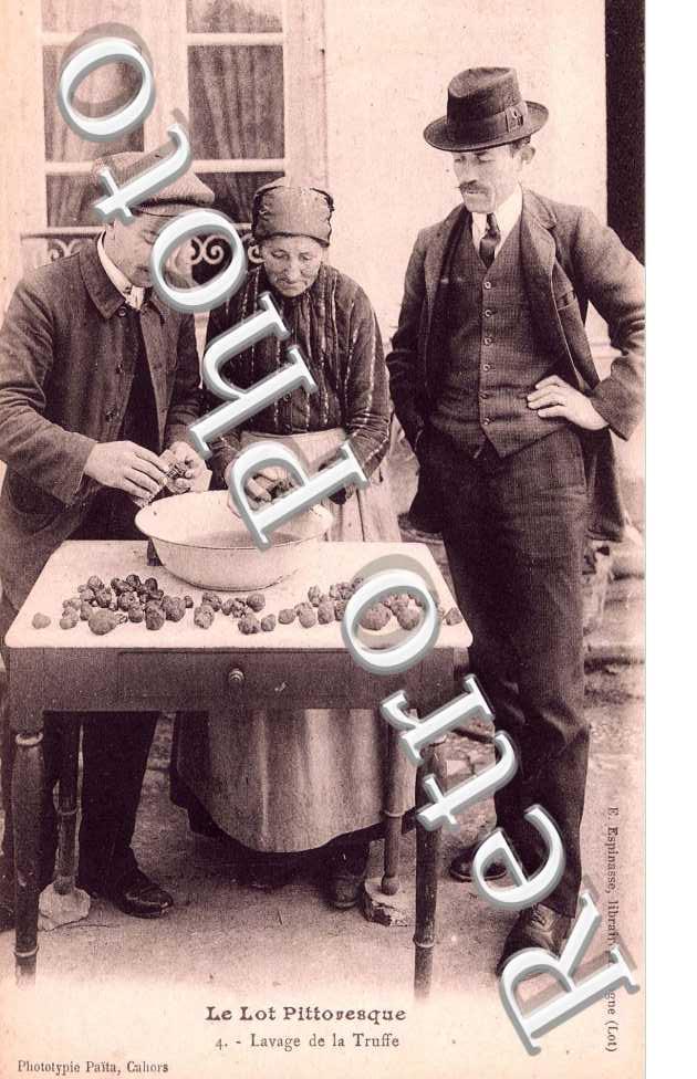 lavage de la truffe