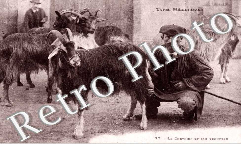 Le Chevrier et son troupeau