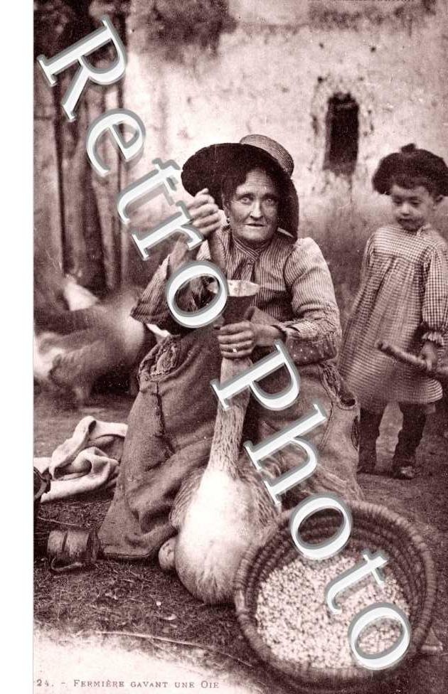 Fermiere gavant une oie