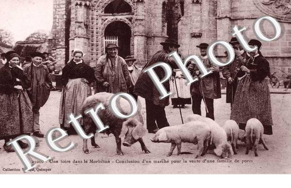 Une Foire, Conclusion d'un Marche pour la vente d'une famille de Porcs