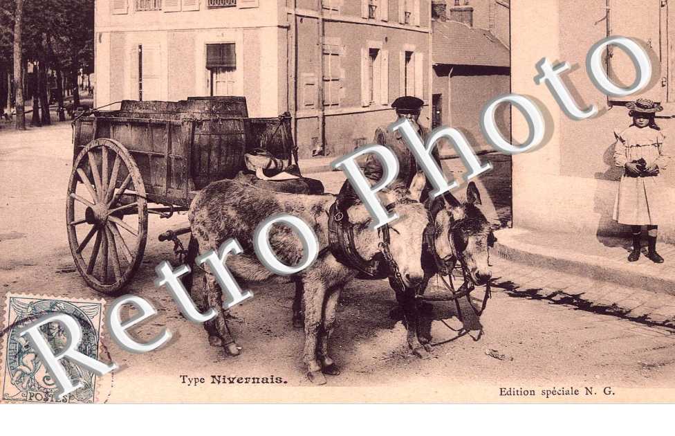 Type Nivernais