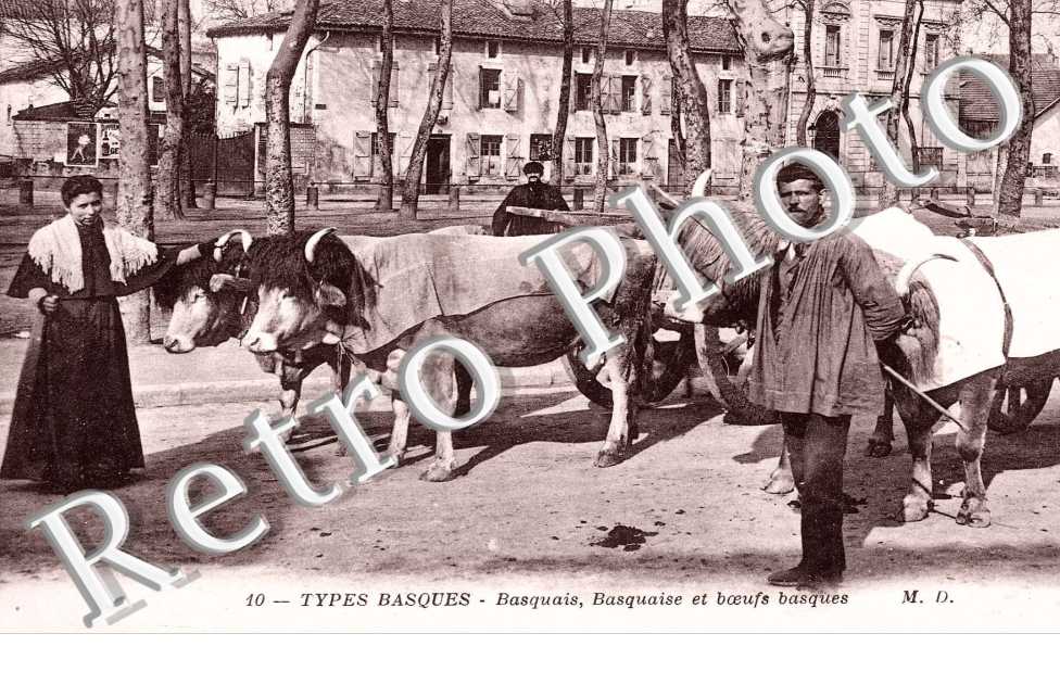 Basquais, basquaises et boeufs basques