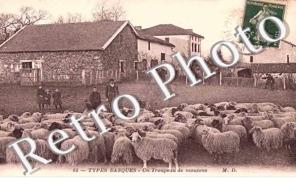 un troupeau de moutons